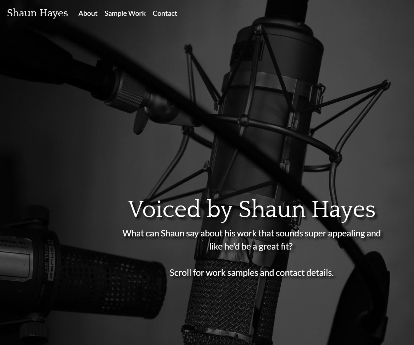 Voiceover Project Image